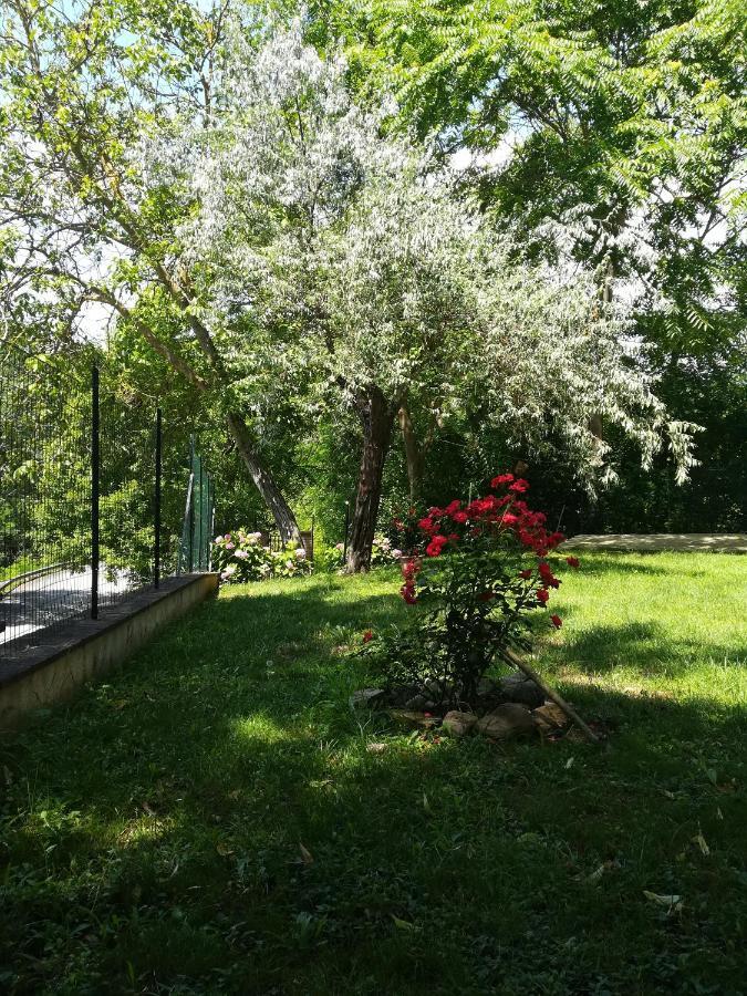 Da Marisetta A San Severino Marche Eksteriør billede